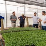Pequeños productores hortícolas crearon la primer Colonia Agroecológica de Abastecimiento Urbano en Corrientes