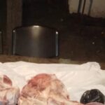 Incautaron en San Luis del Palmar bultos de carne transportados de forma irregular